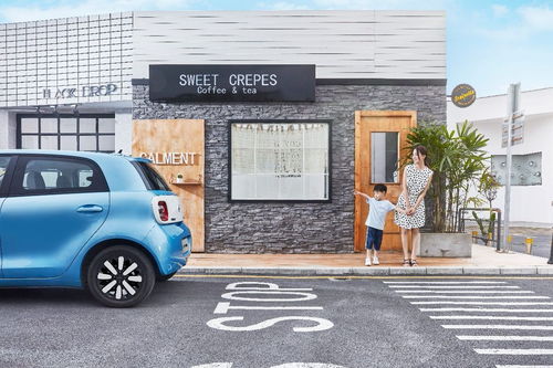 欧拉品牌创新营销 车界“猫系”开启出圈模式，思维转变驱动新车零售新浪潮